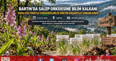 Doğadaki Nesli Tehlikedeydi: Bartın Üniversitesi Doku Kültürüyle Üretti, “Sürdürülebilir Salep” Projesi Başarıyla Tamamlandı!…
