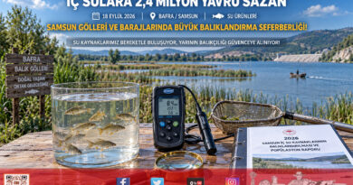 Samsun’un İç Sularına 2,4 Milyon Yavru Sazan: Göller ve Barajlar Berekete Kavuşuyor!…