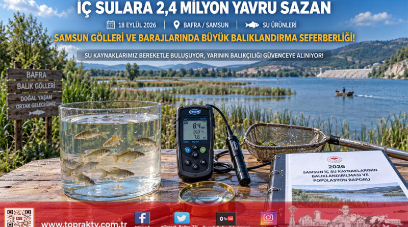 Samsun’un İç Sularına 2,4 Milyon Yavru Sazan: Göller ve Barajlar Berekete Kavuşuyor!…
