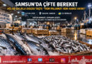 Karadeniz’de Çifte Bereket Rüzgarı: Samsun Balık Hali’nde Hem Palamut Hem Hamsi Akını!…