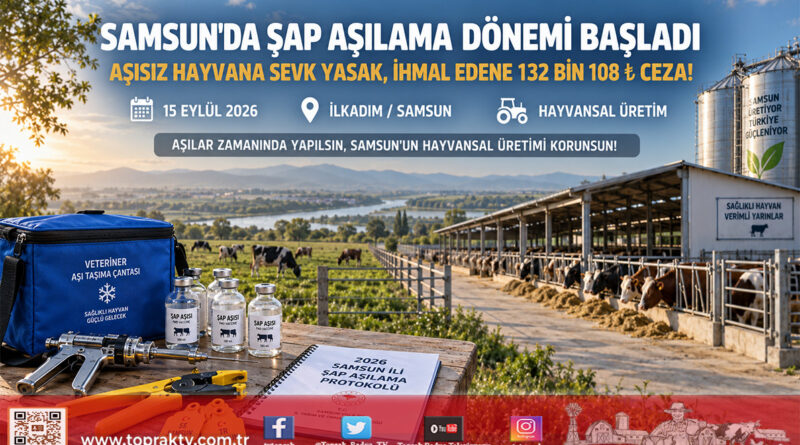 Samsun’da Hayvansal Üretimde Kritik Sonbahar Seferberliği: Şap Aşılama Programı Başladı, İhmal Eden İşletmelere Ağır Yaptırım Geliyor!…