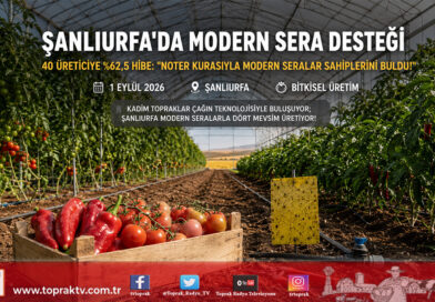Şanlıurfa’da Örtüaltı Tarımda Yeni Dönem: 40 Üreticiye %62,5 Hibeli Modern Sera Desteği Noter Kurasıyla Belirlendi!…