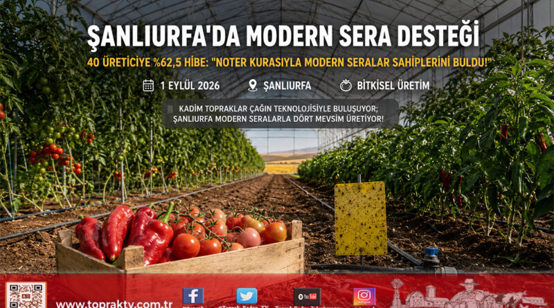Şanlıurfa’da Örtüaltı Tarımda Yeni Dönem: 40 Üreticiye %62,5 Hibeli Modern Sera Desteği Noter Kurasıyla Belirlendi!…