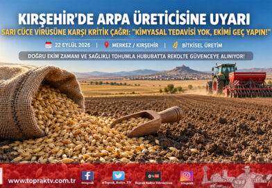 Kırşehir’de Arpa Üreticilerine Kritik Uyarı: Sarı Cüce Hastalığına Karşı Erken Ekimden Kaçının!…