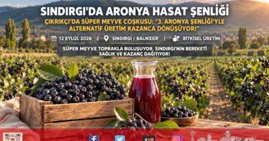 Sındırgı’da Süper Meyve Hasadı Coşkusu: Çıkrıkçı’da 3. Aronya Şenliği Büyük İlgi Gördü!…