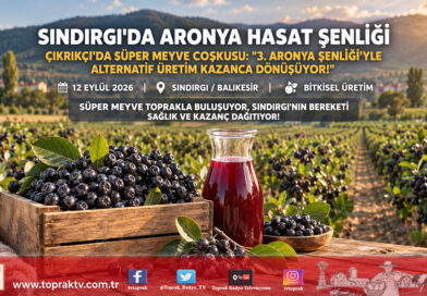 Sındırgı’da Süper Meyve Hasadı Coşkusu: Çıkrıkçı’da 3. Aronya Şenliği Büyük İlgi Gördü!…