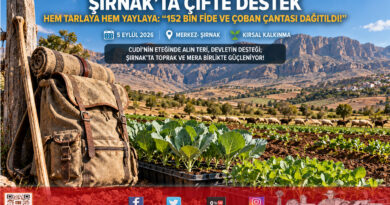Şırnak’ta Çifte Destek Rüzgarı: Üreticiye 152 Bin Sebze Fidesi, Göçer Yetiştiriciye Çoban Çantası Teslim Edildi!…