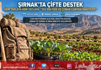 Şırnak’ta Çifte Destek Rüzgarı: Üreticiye 152 Bin Sebze Fidesi, Göçer Yetiştiriciye Çoban Çantası Teslim Edildi!…