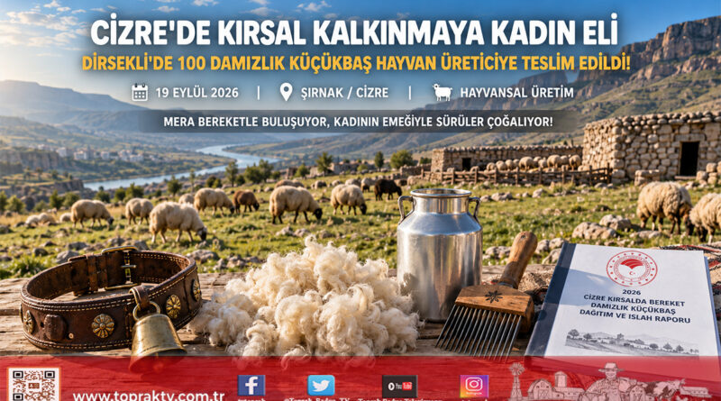 Cizre’de Kırsal Kalkınmaya Kadın Eli: 100 Damızlık Küçükbaş Hayvan Üreticiye Teslim Edildi!…