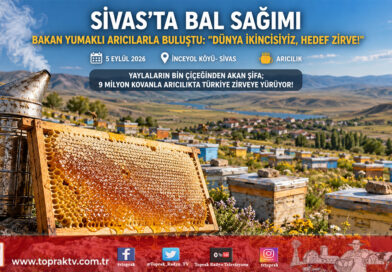 Bakan Yumaklı Sivas’ta Kovan Başına Geçti: “Dünya İkincisiyiz, Hedefimiz Zirve!”…