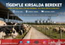 Kırsalda Bereket Projesinde Tarihi Adım: TİGEM’den 18 Bin 393 Gebe Düve ve 9 Bin 800 Küçükbaş Üreticiye Ulaştı!…