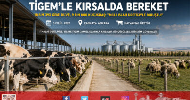 Kırsalda Bereket Projesinde Tarihi Adım: TİGEM’den 18 Bin 393 Gebe Düve ve 9 Bin 800 Küçükbaş Üreticiye Ulaştı!…