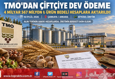 TMO’dan Üreticiye Can Suyu: 4 Milyar 567 Milyon ₺ Ürün Bedeli Hesaplara Aktarıldı!…