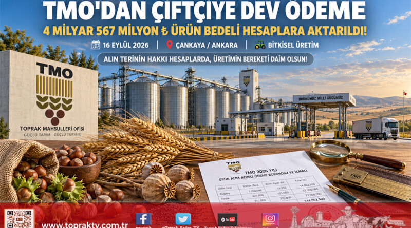 TMO’dan Üreticiye Can Suyu: 4 Milyar 567 Milyon ₺ Ürün Bedeli Hesaplara Aktarıldı!…