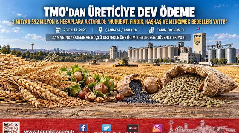 TMO’dan Üretici Hesaplarına 3,5 Milyar ₺’yi Aşan Ödeme: Hububat, Fındık, Haşhaş Ve Mercimek Bedelleri Yatırıldı!…