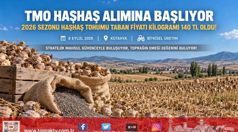 TMO Haşhaş Tohumu Alımına Başlıyor: Kütahya’da Alım Fiyatı Kilogram Başına 140 ₺ Olarak Açıklandı!…