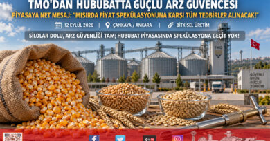 TMO’dan Hububatta Güçlü Stok ve Arz Mesajı: Mısırda Fiyat Spekülasyonuna Karşı Her Türlü Tedbir Alınacak!…