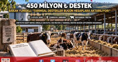 Çiftçinin Hesabına 450 Milyon ₺ Can Suyu: Tarımsal Destekleme Ödemeleri Bugün Yatırılıyor!…