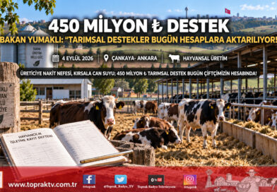 Çiftçinin Hesabına 450 Milyon ₺ Can Suyu: Tarımsal Destekleme Ödemeleri Bugün Yatırılıyor!…