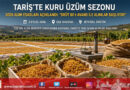 TARİŞ Çekirdeksiz Kuru Üzüm Avans Fiyatını Açıkladı: Brüt 80 ₺ ile Alımlar Başlıyor!…