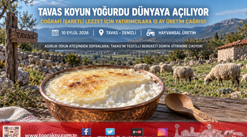 Coğrafi İşaretli Tavas Koyun Yoğurdu Dünya Pazarına Açılıyor: Belediye Başkanı Kadir Tatık’tan Yatırımcılara 12 Ay Kesintisiz Üretim Çağrısı!…