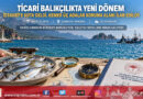 Su Ürünleri Avcılığında Yeni Dönem: İstavrite Kota Geldi, Koruma Alanları Genişletildi!…