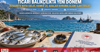 Su Ürünleri Avcılığında Yeni Dönem: İstavrite Kota Geldi, Koruma Alanları Genişletildi!…
