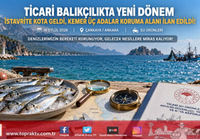 Su Ürünleri Avcılığında Yeni Dönem: İstavrite Kota Geldi, Koruma Alanları Genişletildi!…