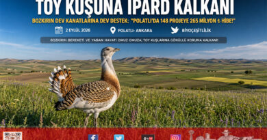 Bozkırın Dev Kanatlarına IPARD Kalkanı: Toy Kuşunu Koruyan 148 Projeye 265 Milyon ₺ Hibe!…