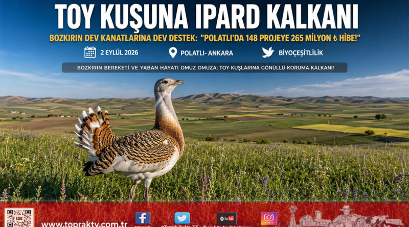 Bozkırın Dev Kanatlarına IPARD Kalkanı: Toy Kuşunu Koruyan 148 Projeye 265 Milyon ₺ Hibe!…