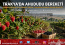 Edirne Kemalköy’de Alternatif Tarım Başarısı: Ahududu ve Böğürtlen Üreticinin Yeni Gelir Kapısı Oldu!…