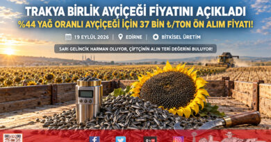 Trakya Birlik Ayçiçeği Ön Alım Fiyatını Açıkladı: Yüzde 44 Yağ Oranlı Ürüne Ton Başına 37 Bin ₺!…