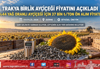 Trakya Birlik Ayçiçeği Ön Alım Fiyatını Açıkladı: Yüzde 44 Yağ Oranlı Ürüne Ton Başına 37 Bin ₺!…