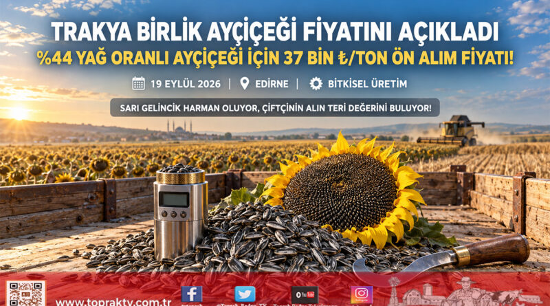 Trakya Birlik Ayçiçeği Ön Alım Fiyatını Açıkladı: Yüzde 44 Yağ Oranlı Ürüne Ton Başına 37 Bin ₺!…