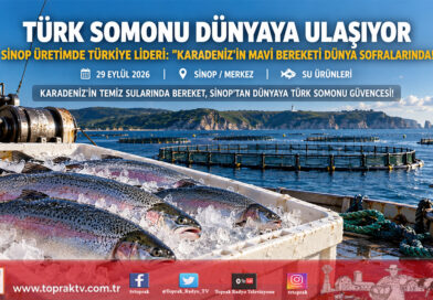 Karadeniz’in Mavi Bereketi Dünyayı Besliyor: Sinop Türk Somonu Üretiminde Türkiye Lideri!…
