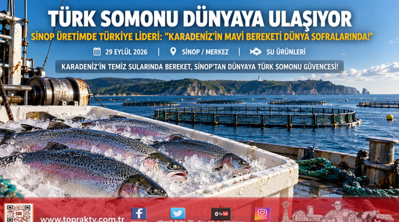 Karadeniz’in Mavi Bereketi Dünyayı Besliyor: Sinop Türk Somonu Üretiminde Türkiye Lideri!…