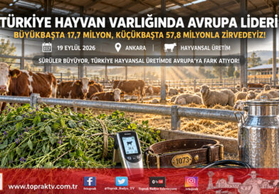 Türkiye Hayvansal Üretimde Avrupa Zirvesinde: Büyükbaş ve Küçükbaşta Fark Açılıyor!…