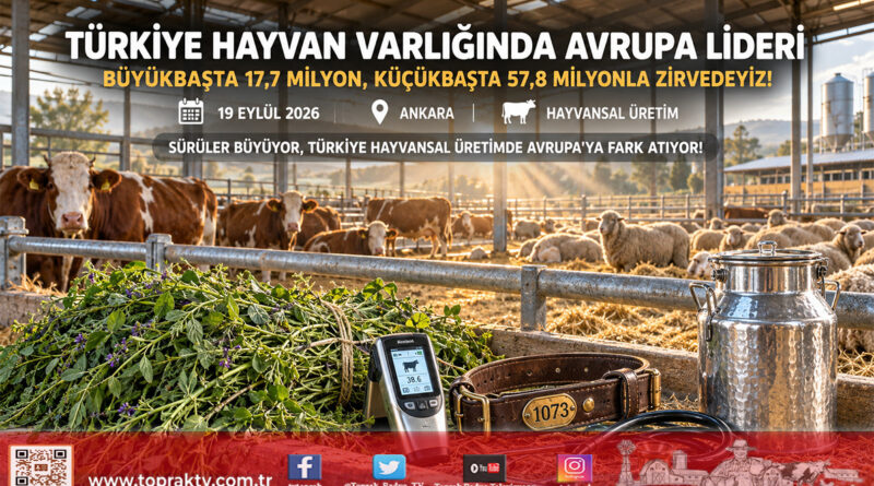 Türkiye Hayvansal Üretimde Avrupa Zirvesinde: Büyükbaş ve Küçükbaşta Fark Açılıyor!…