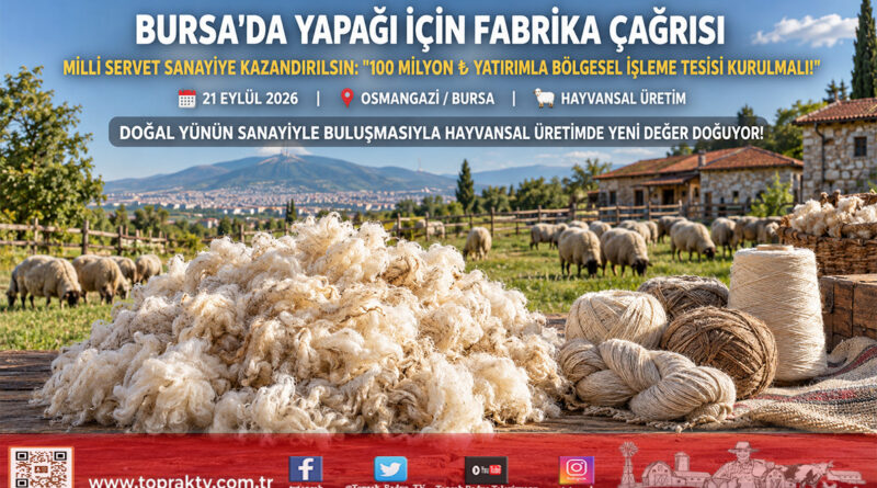 Bursa’dan Stratejik Sanayi Çağrısı: Milyonlarca ₺ Değerindeki Yapağı İçin İşleme Fabrikası Kurulmalı!…