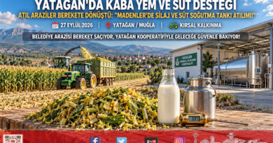 Yatağan’da Yerel Yönetim ve Kooperatif Güç Birliği: Atıl Araziler Kaba Yeme, Sütler Soğutma Tankına Kavuştu!…