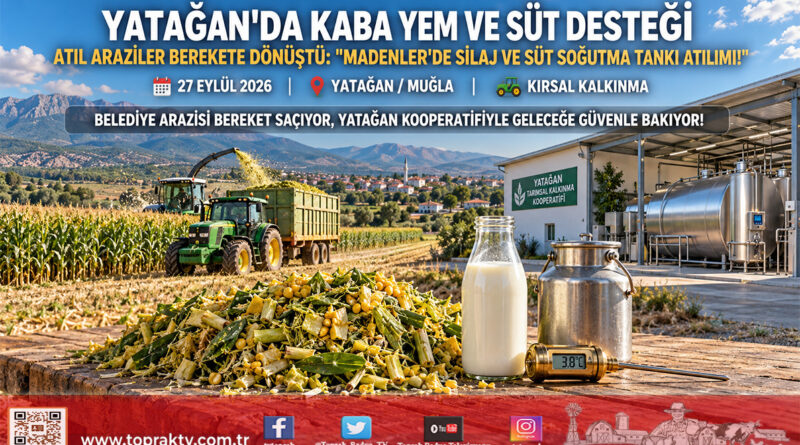Yatağan’da Yerel Yönetim ve Kooperatif Güç Birliği: Atıl Araziler Kaba Yeme, Sütler Soğutma Tankına Kavuştu!…