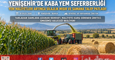 Artan Kesif Yem Fiyatları Kaba Yeme Talebi Patlattı: Yenişehir’de Silajlık Mısır ve Saman Seferberliği!…