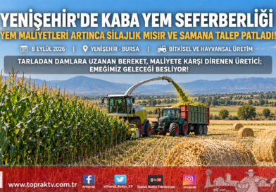 Artan Kesif Yem Fiyatları Kaba Yeme Talebi Patlattı: Yenişehir’de Silajlık Mısır ve Saman Seferberliği!…