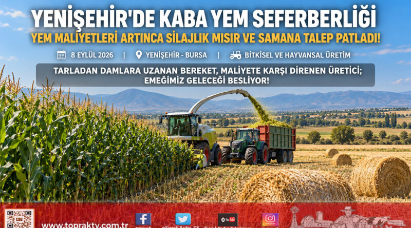 Artan Kesif Yem Fiyatları Kaba Yeme Talebi Patlattı: Yenişehir’de Silajlık Mısır ve Saman Seferberliği!…