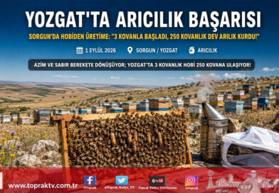 Yozgat’ta Hobiden Profesyonelliğe Uzanan Başarı Hikayesi: 3 Kovanla Başladı, Sayıyı 250’ye Çıkardı!…