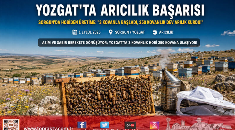 Yozgat’ta Hobiden Profesyonelliğe Uzanan Başarı Hikayesi: 3 Kovanla Başladı, Sayıyı 250’ye Çıkardı!…