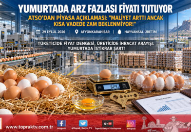 Yumurta Sektöründe Arz Fazlası Baskısı: Maliyet Artışına Rağmen Kısa Vadede Zam Beklenmiyor!…