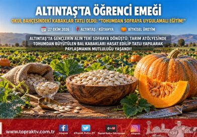 Altıntaş’ta Gençlerin Emeği Sofraya Ulaştı: Tarım Atölyesinde Yetiştirilen Kabaklar Tatlıya Dönüştü!…