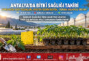 Antalya’da Örtüaltı Üretime Sıkı Takip: Kumluca’da EKÜY Tuzakları Kuruldu, Aksu’da Peyzaj Denetimi Yapıldı!…