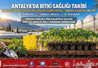 Antalya’da Örtüaltı Üretime Sıkı Takip: Kumluca’da EKÜY Tuzakları Kuruldu, Aksu’da Peyzaj Denetimi Yapıldı!…